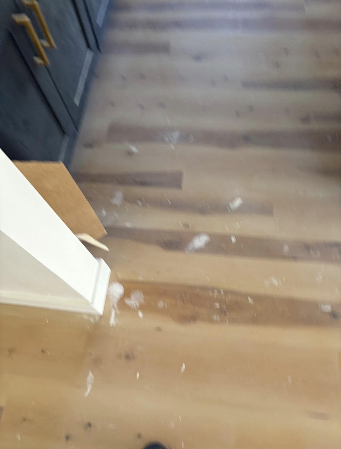 Kitchen cleaning job photo